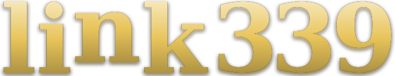 link 339 logo